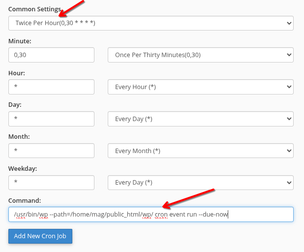 cPanel: comanda WP-CLI adăugată în cron Formularul Add New Cron Job din cPanel: Common Settings pe Twice Per Hour și comanda wp-cli scrisă la Command