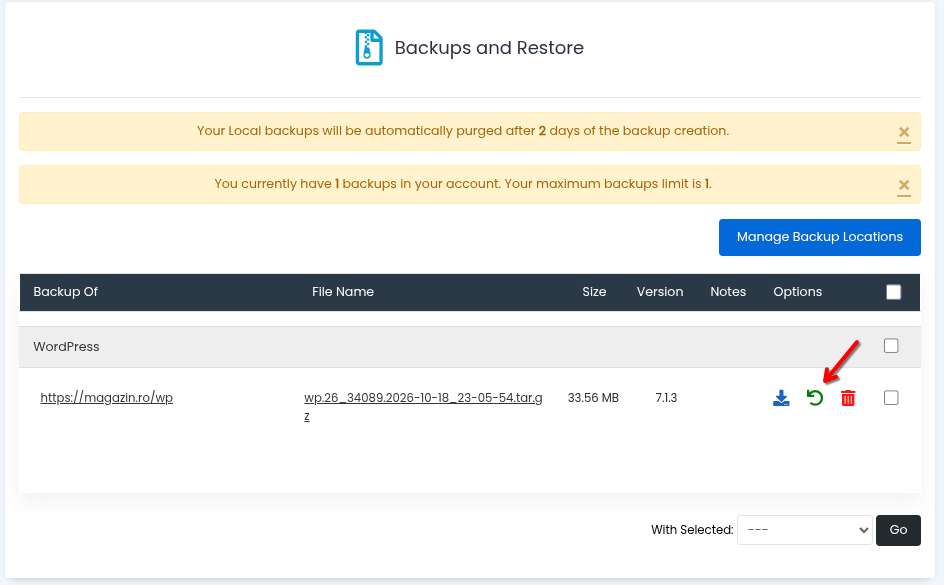 Pagina Backups and Restore cu lista copiilor, numele fișierului, mărimea, versiunea și iconițele de descărcare, restaurare și ștergere